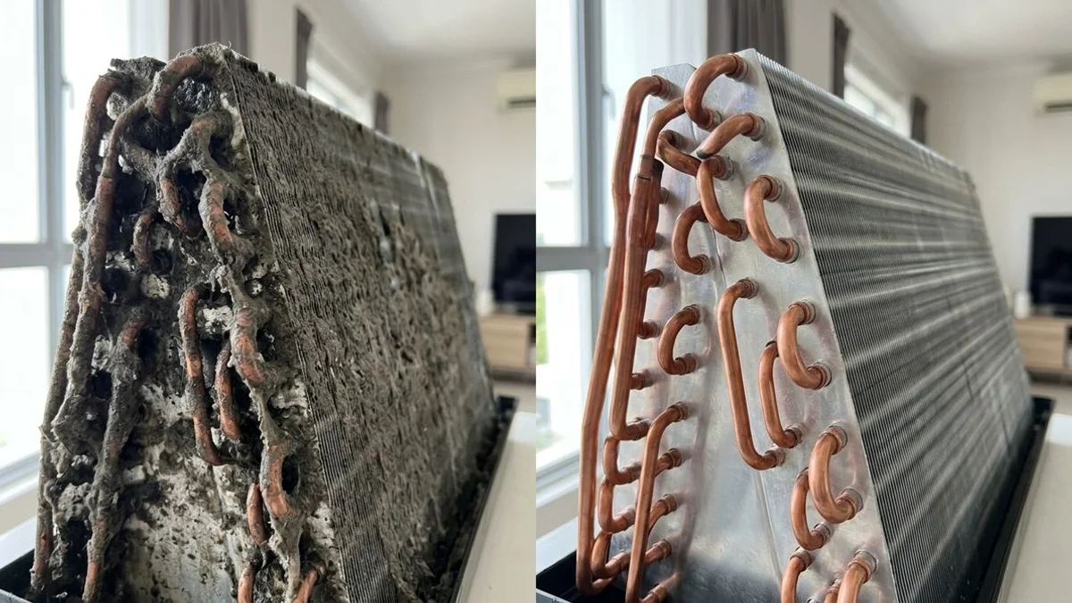 Before/after coil close-up, biological buildup vs clean copper fins